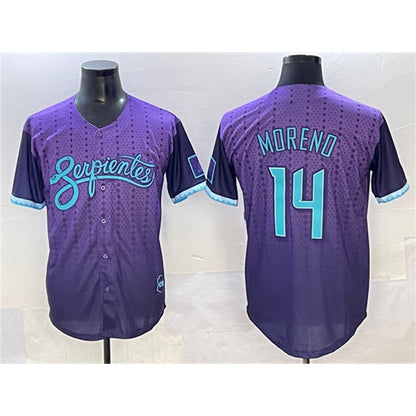 Arizona Diamondbacks #14 Gabriel Moreno Purple MIKSHPS 2025 City Connect Limited Stitched Jersey