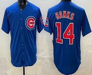 Chicago Cubs #14 Ernie Banks Blue MIKSHPS Limited Jersey