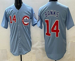 Chicago Cubs #14 Ernie Banks Baby Blue MIKSHPS Limited Jersey